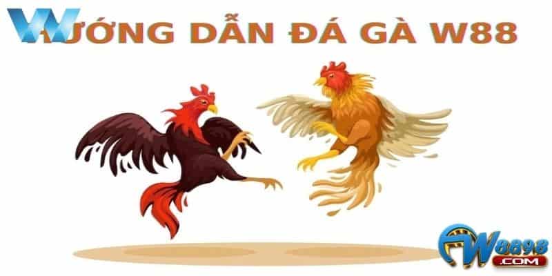 Đá Gà W88 Thoả Sức Đặt Cược Rinh Tiền Thưởng Khủng 2 Tại sao đá gà W88 được nhiều người chơi lựa chọn?