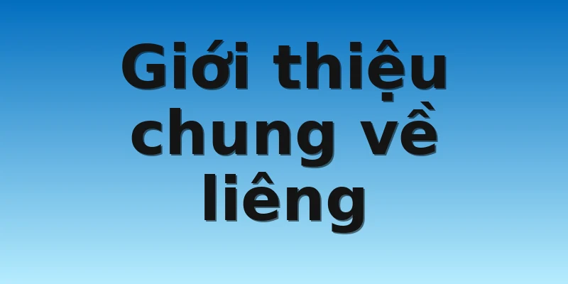 W88_Xem Ngay Top Những Nhà Cái Đánh Liêng Uy Tín Nhất 2 Giới thiệu chung về liêng