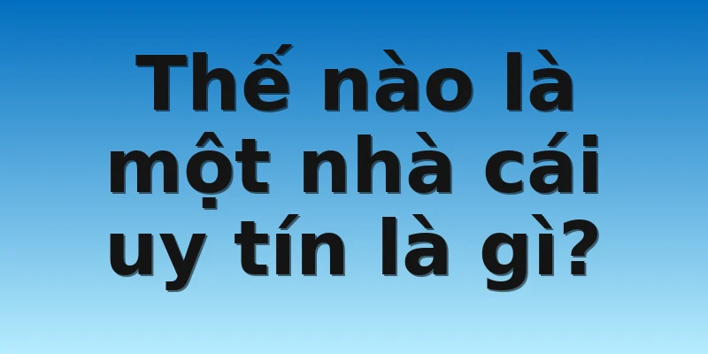W88_Nhà Cái Uy Tín Thông Tin Nhà Cái Lựa Chọn Chuẩn 2 Thế nào là một nhà cái uy tín là gì?