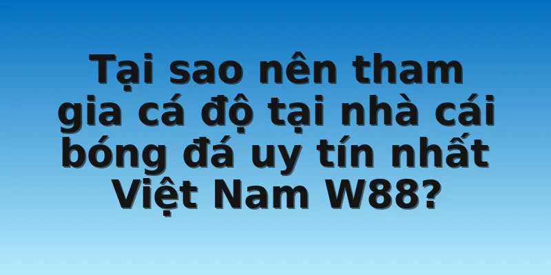 Tại sao nên tham gia cá độ tại nhà cái bóng đá uy tín nhất Việt Nam W88?