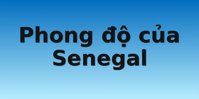 W88_Qatar Vs Senegal, Nhận Định World Cup 2022 3 Phong độ của Senegal