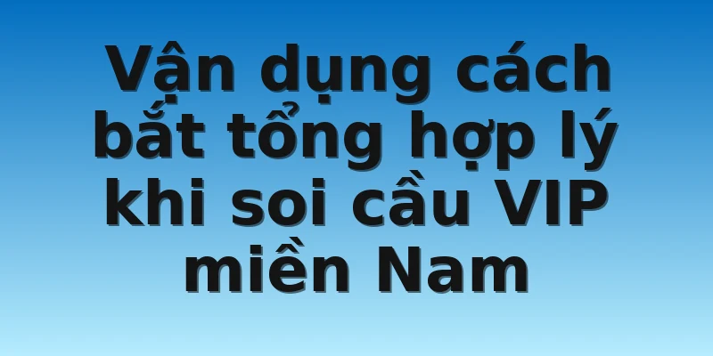 Vận dụng cách bắt tổng hợp lý khi soi cầu VIP miền Nam