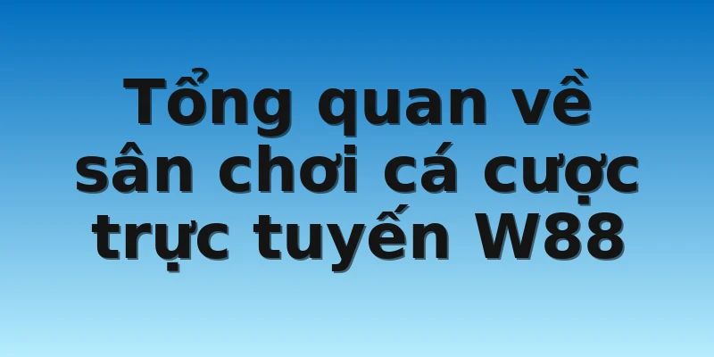 W88_Các Câu Hỏi Thường Gặp Khi Tham Gia Sảnh Cược 2 Tổng quan về sân chơi cá cược trực tuyến W88