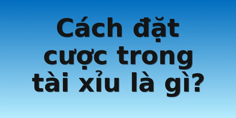 Cách đặt cược trong tài xỉu là gì?